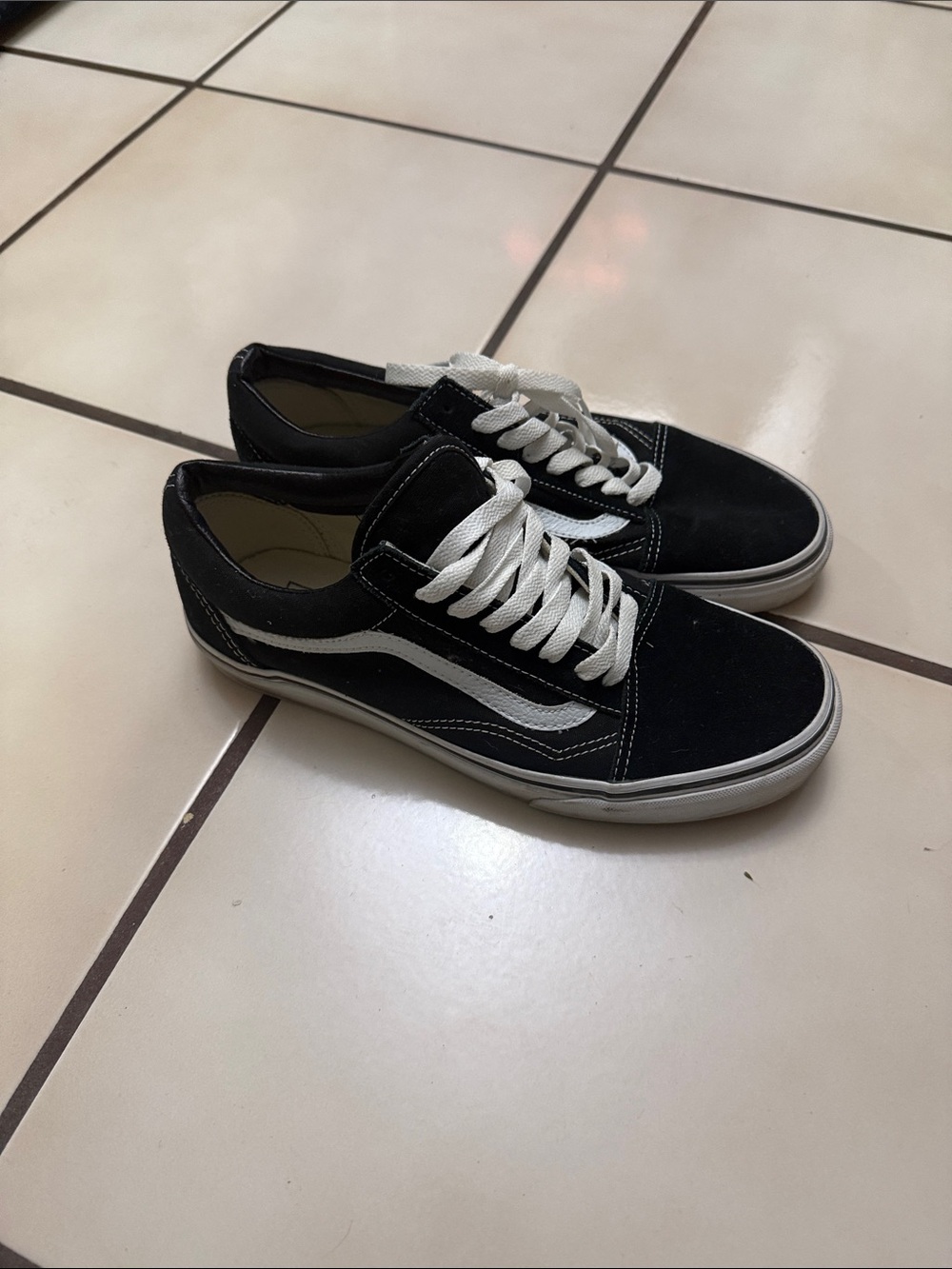 Vans Black Low-Top Sneakers with White Stripe